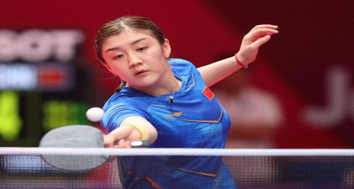 姚明的篮球 姚明的篮球