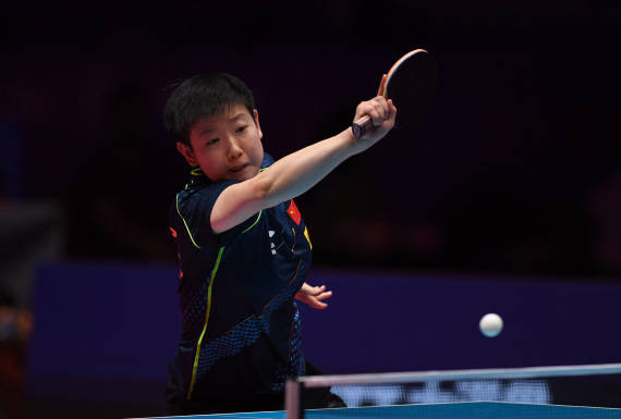 猛龙和太阳 猛龙和太阳