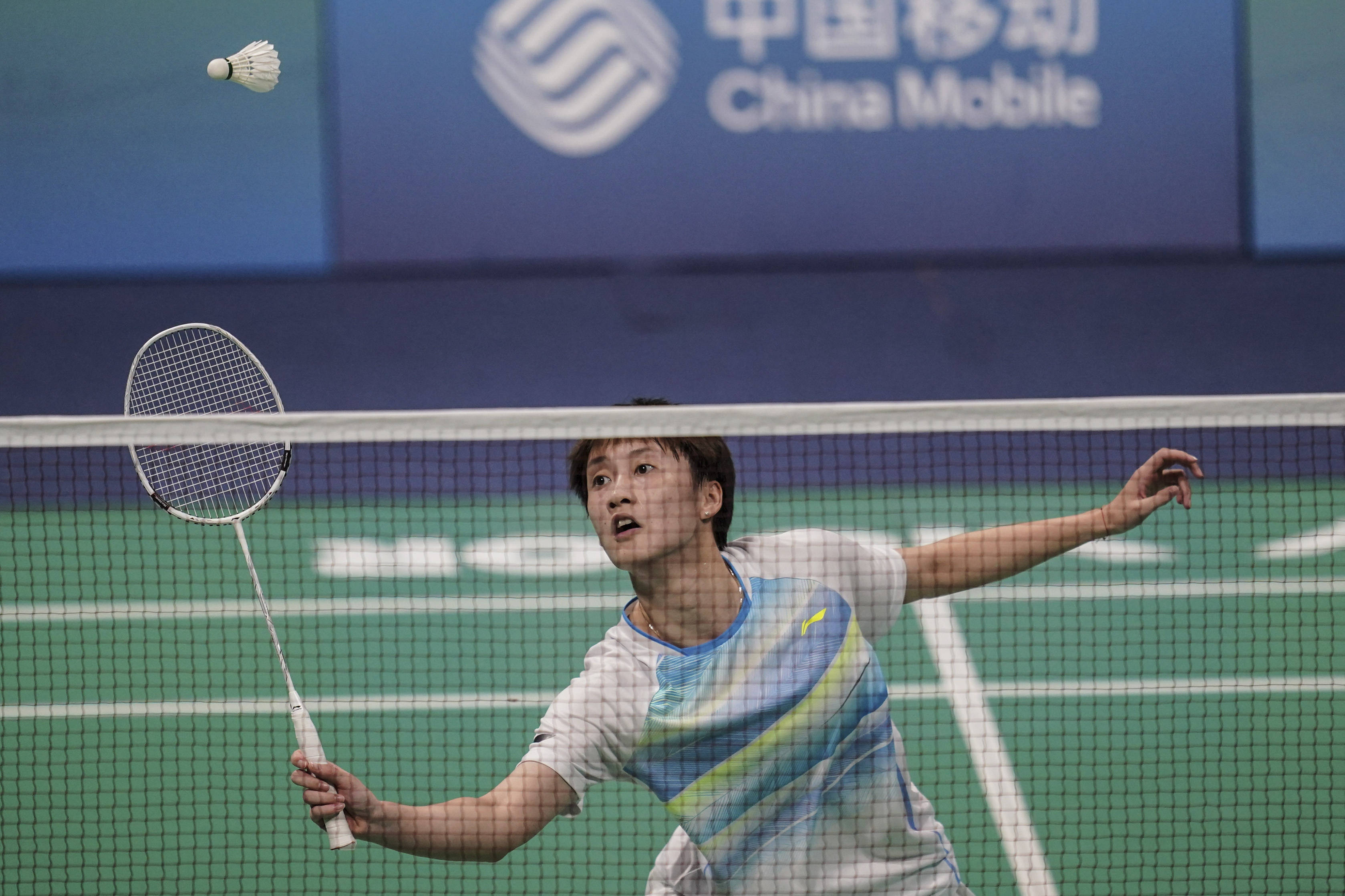 数据显示 数据显示